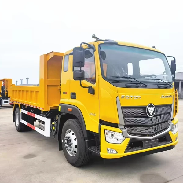 Foton 10 тонн Самосвал Легкий Грузовой небольшой самосвал левый и правый Привод по хорошей цене