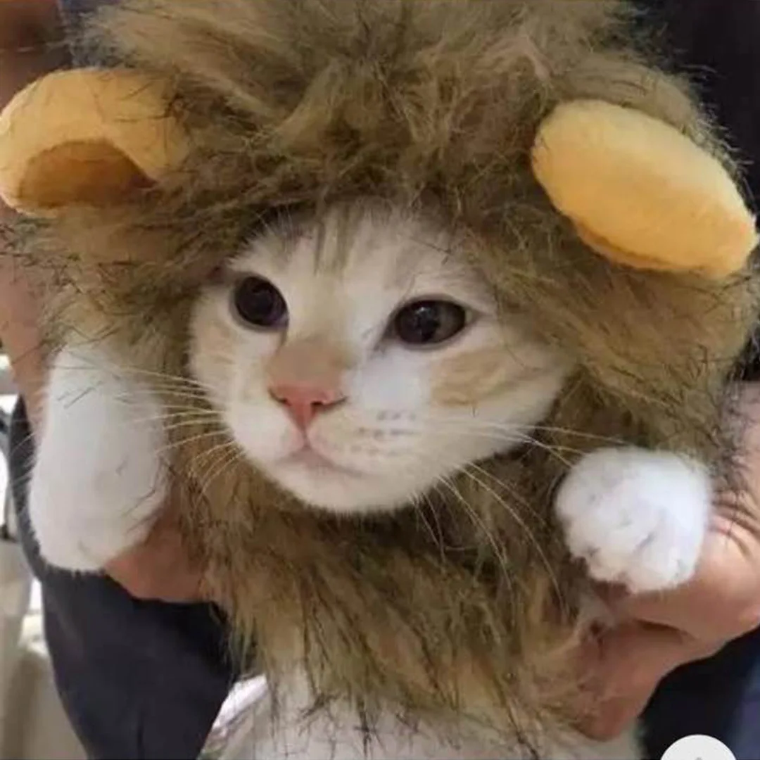 Cute Lion Mane Cat Wig Pet Small Dog Cats Costume Lion Mane Wig Cap Hat for Cat Dogs Fancy Costume Cosplay Toy Pet Supplies