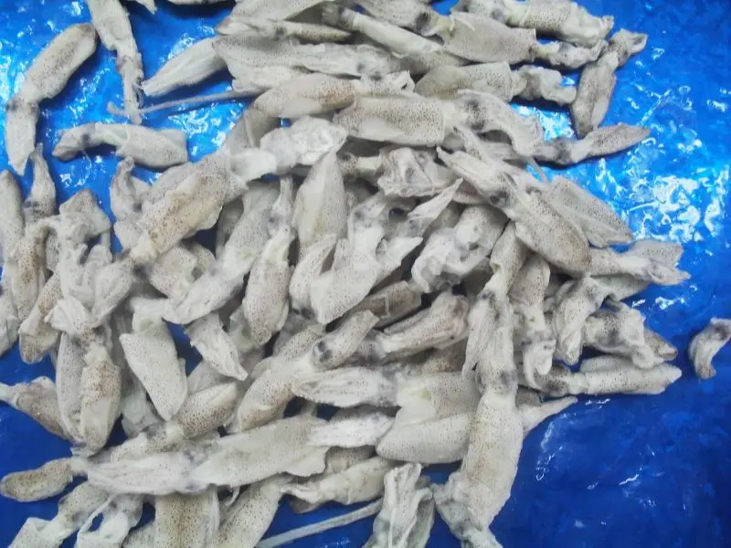 Sell High-Quality Fresh The Natural Nutrition Frozen Whole Baby Squid For Sale