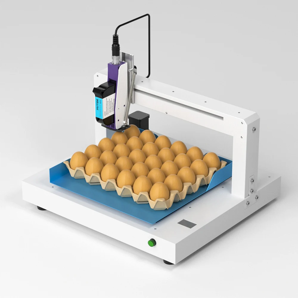 Automatic Egg Inkjet Printer Machine With Conveyor Belt Egg Date Printer Inkjet Printer Coder Expiry