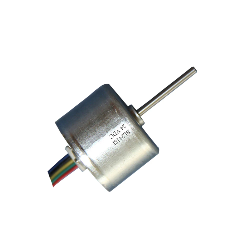 hot sale Diameter 24MM length 18mm high torque  low speed dc micto brushless electric motor for pump