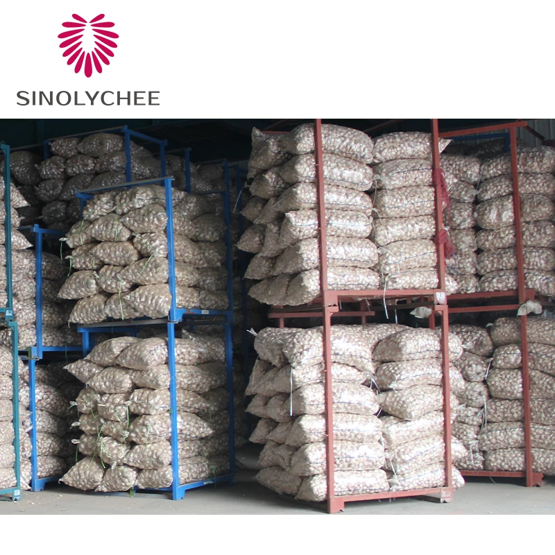 2022 Chinese Purple Garlic Price Normal White Garlic Wholesale Supplier