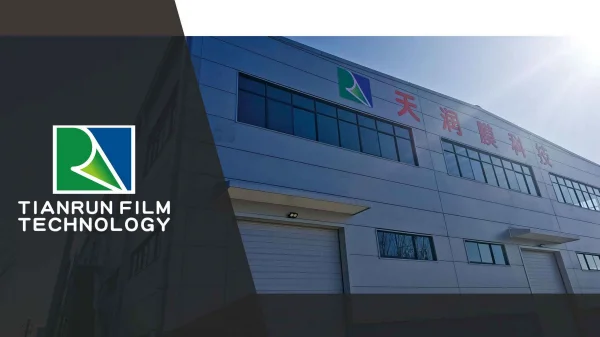 food grade fresh keep 10mic 1500m stretch packing wrapping pvc pe cling film jumbo roll