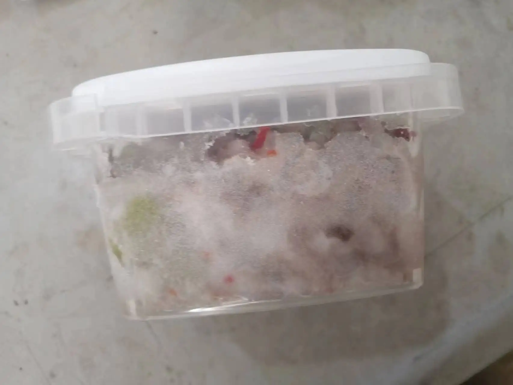 Excellent Flavor Frozen Seafood Snack Seasoned Packled Instant Seafood Marinated Baby Octopus Sushi