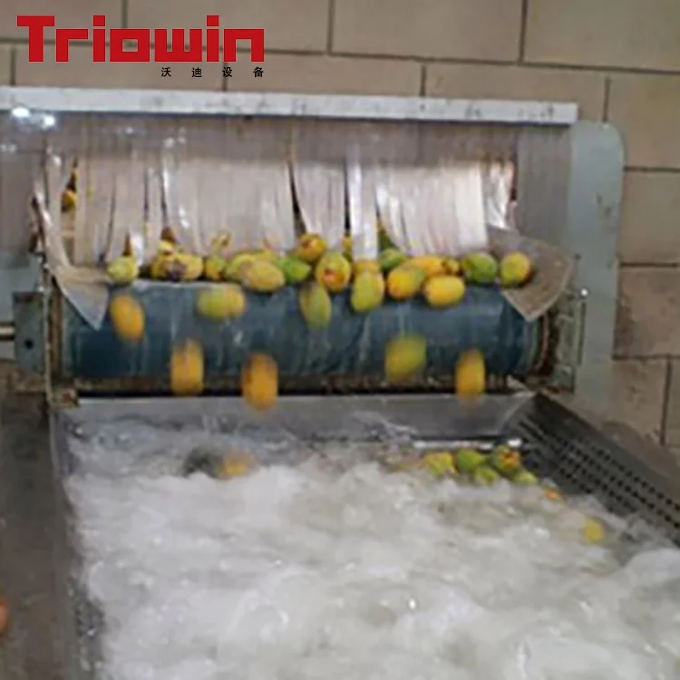 
Customized mango pulping price juicer machine 