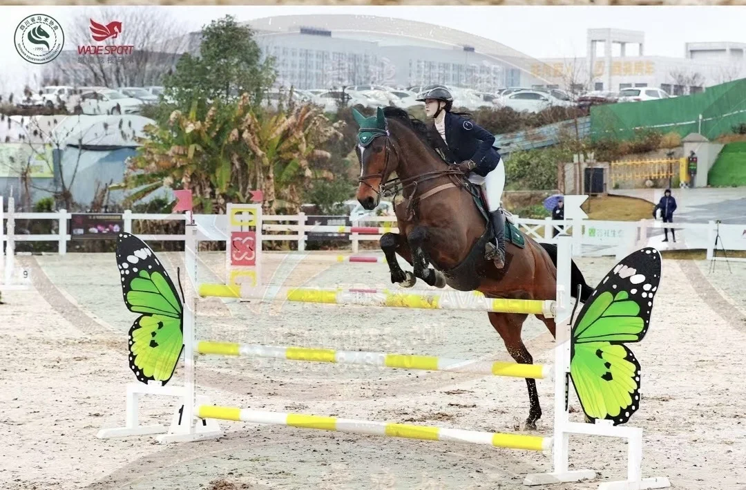 Reeds 2024 new show jumps equestrian competition exclusive for Longines competition