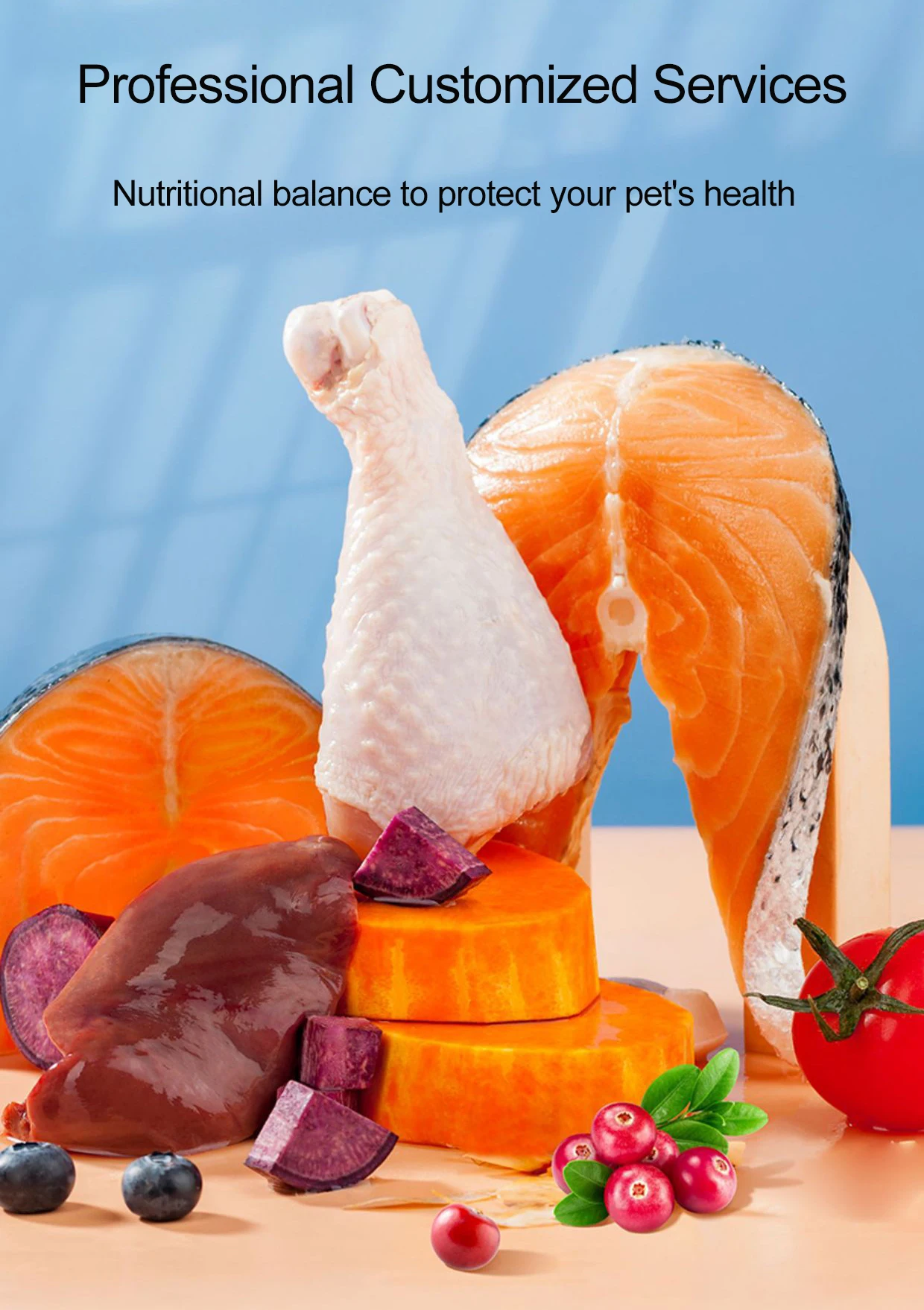 Wholesale Bulk Freeze Dried Cat Snacks Chicken Beef Cat Treats Pet Snacks Dry Cat Food Chicken Breast Freeze Dry Pet Food