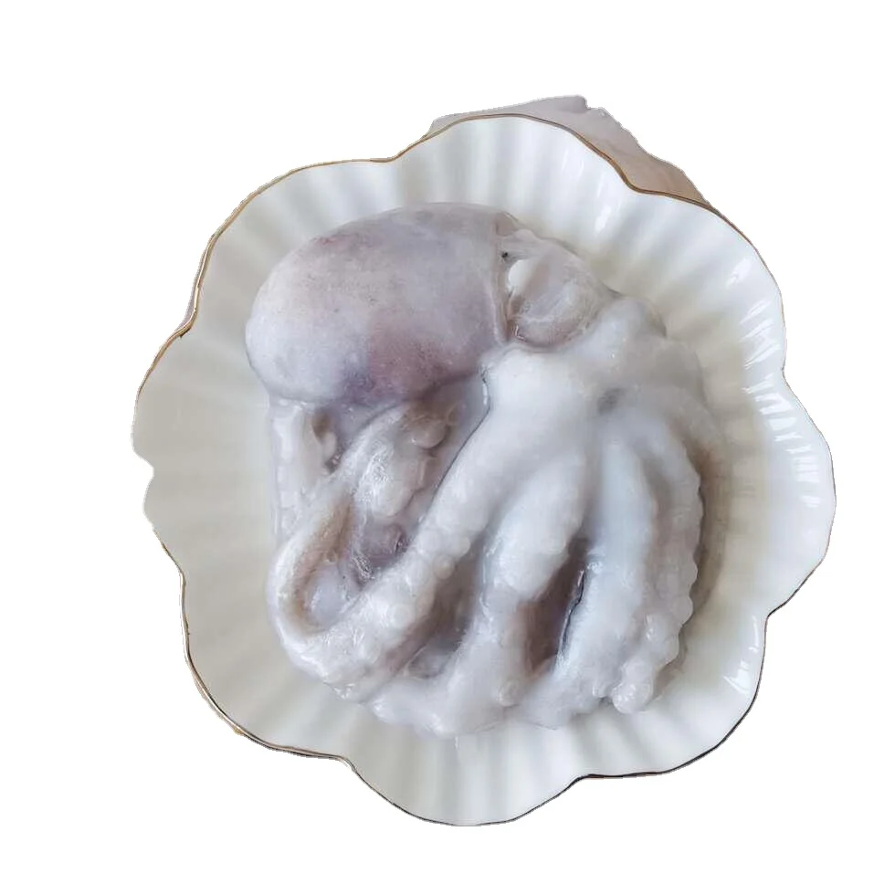 Octopus New Frozen Whole Round Octopus Seafood Products Whole Fresh Octopus  Poulp Squid For Sale