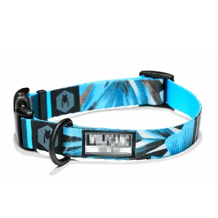 Best selling pet products durable nylon custom print dog collar for medium dogs