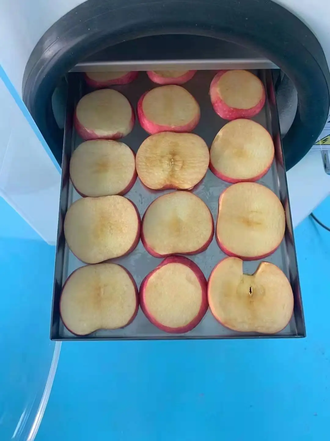 2021 Industrial Food Freeze Dryer Machine from China Manufacturer Home Small Mini Vacuum Freeze Dryers Lyophilizer for Sale