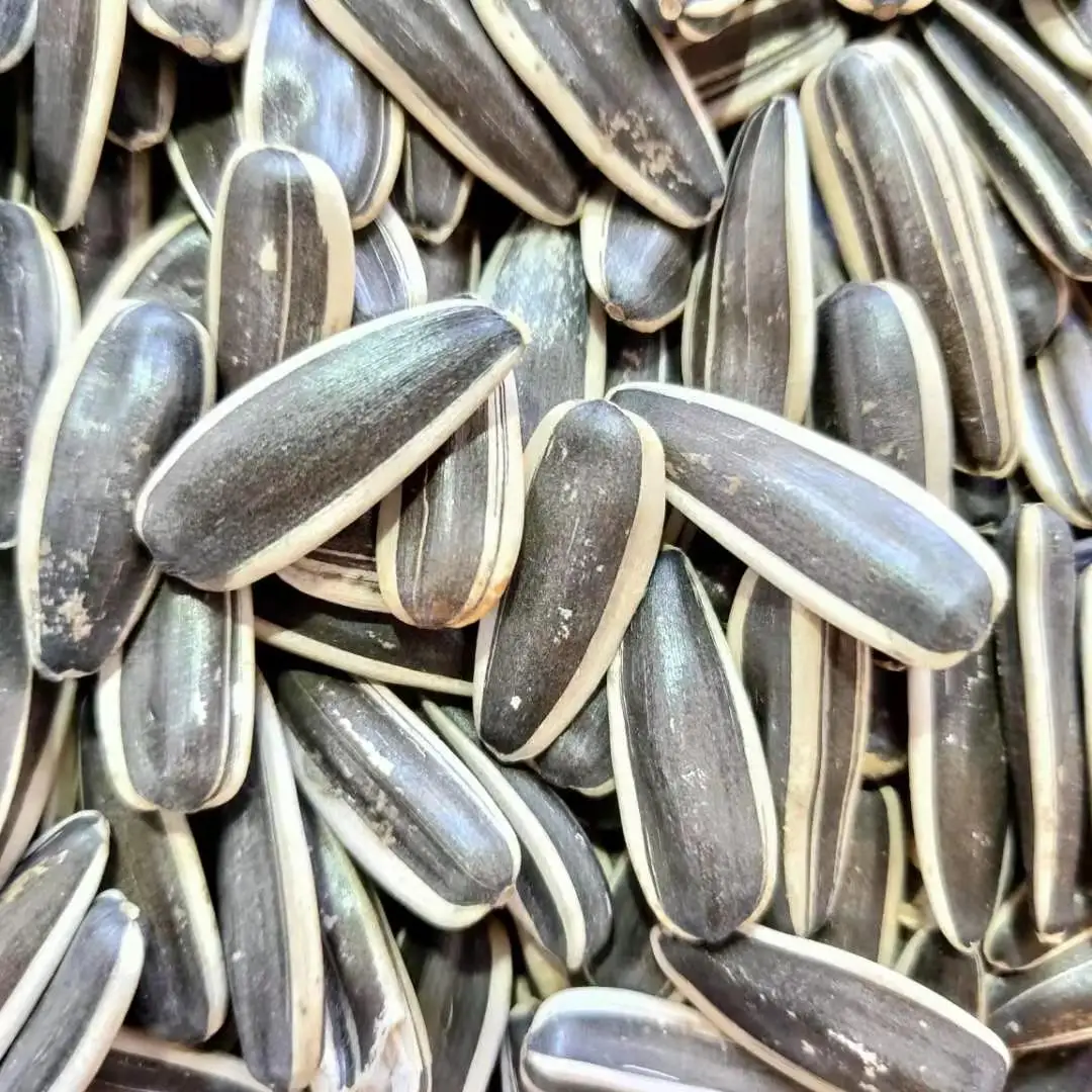 Wholesale Raw Chinese 2021 Hot Sale Natural Organic Sunflower Seeds for Bulk Buyers