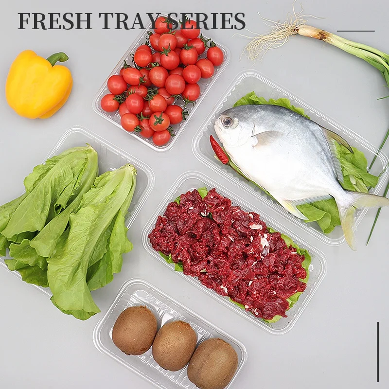 Rectangle Tray Appetizer Dessert Plates Disposable Hard Plastic Miniature Tasting Sushi Trays Sample Dish Party Plates