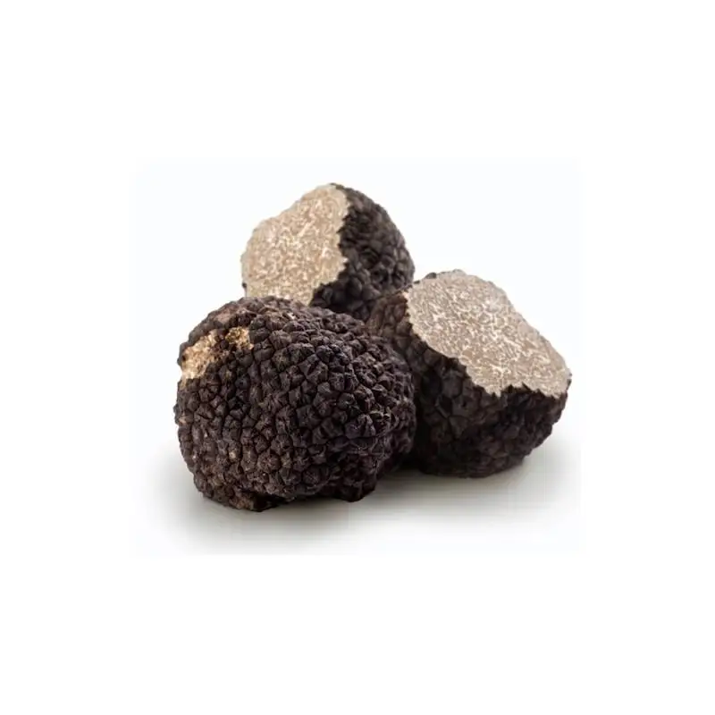 Best fresh summer truffle for cooking VEGAN FOOD ORGANIC WILD (1600782105659)