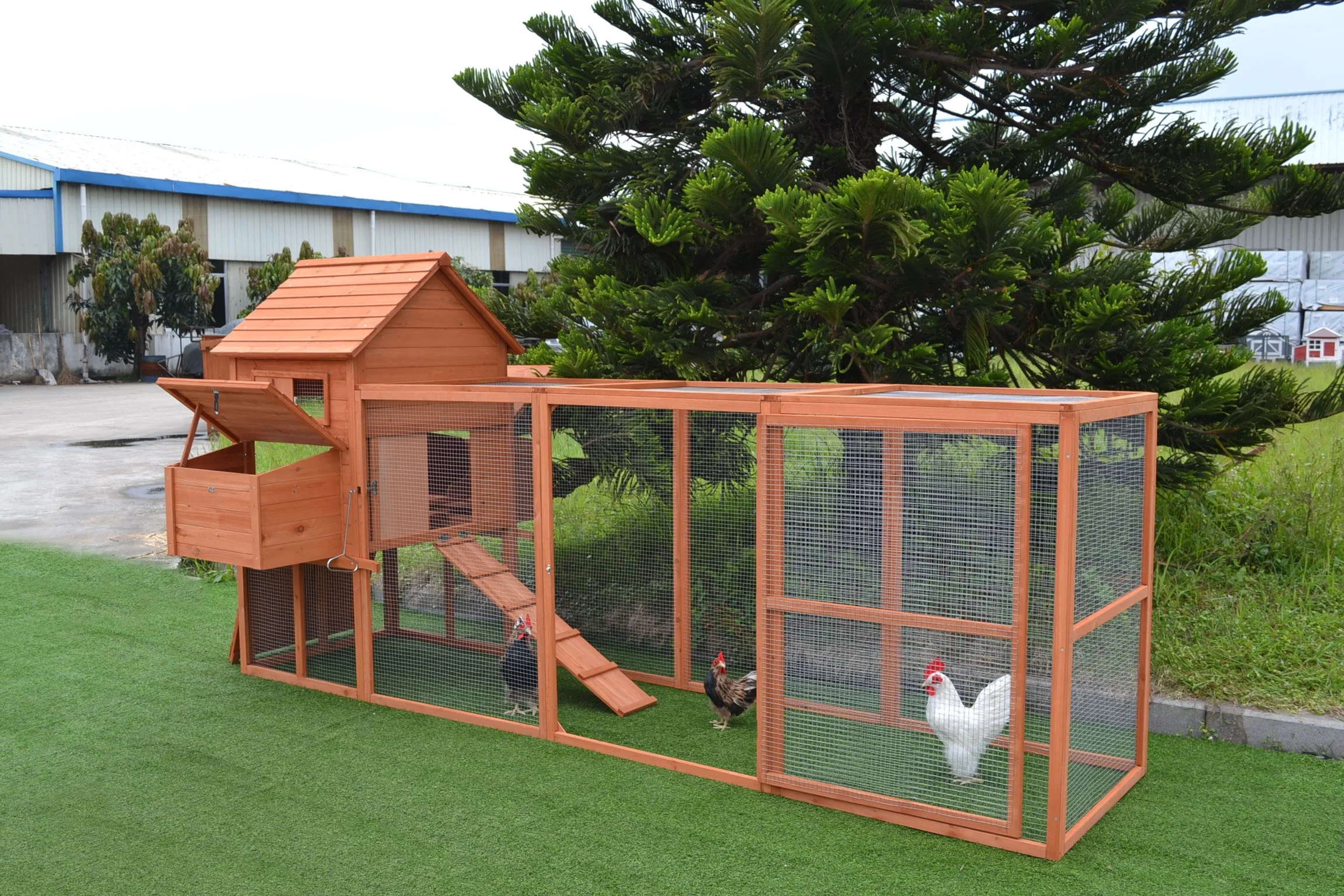 
wooden chicken coop 