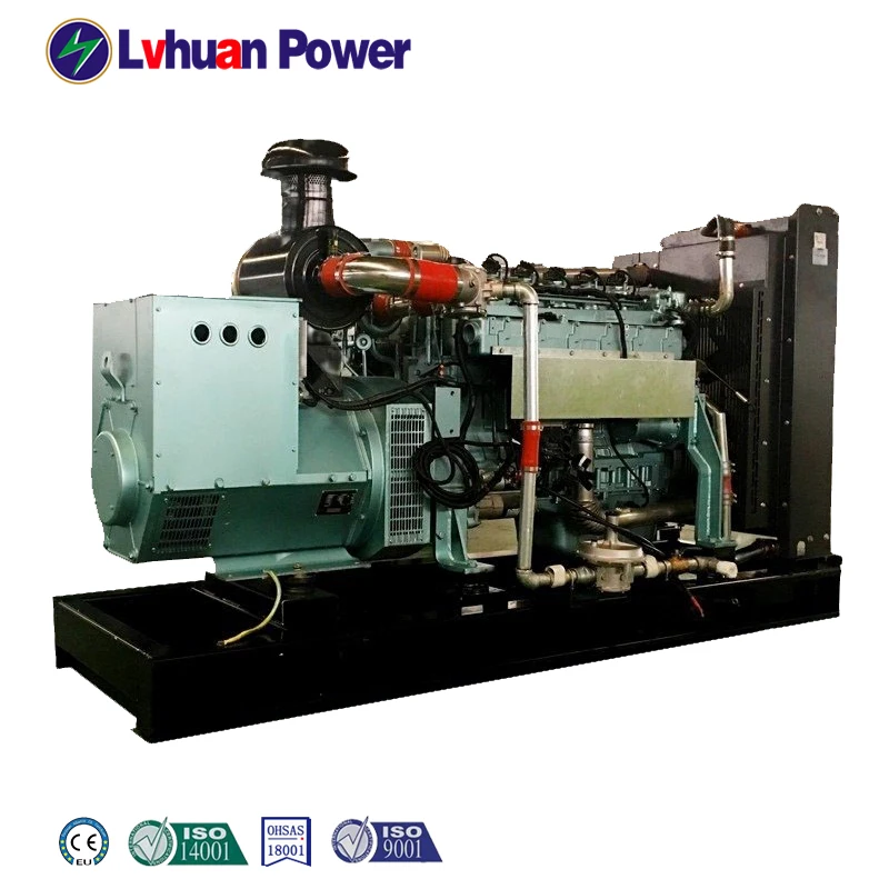 certificate ce high efficiency 120 kw  power biogas generator