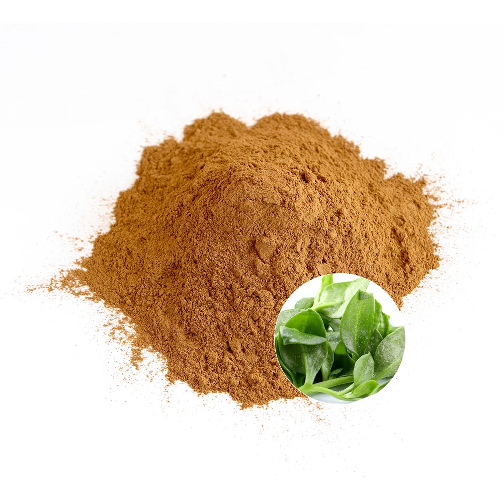 Organic Natural Andrographis Paniculata P.e Extract Plant Andrographis Paniculata Extract Powder Andrographis Paniculata Extract