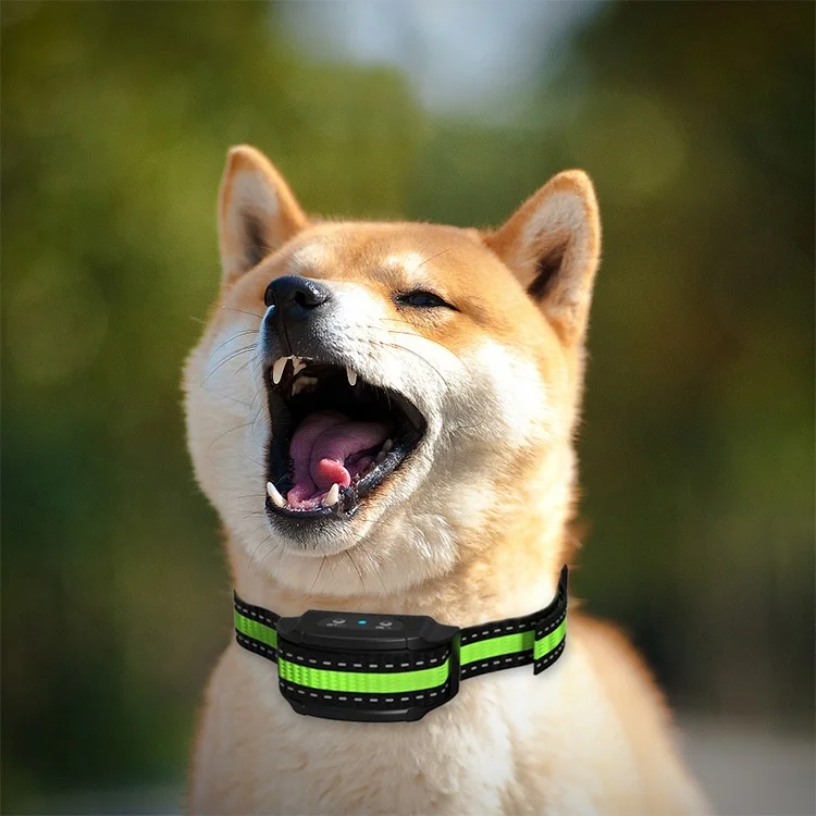 Ошейник для собак