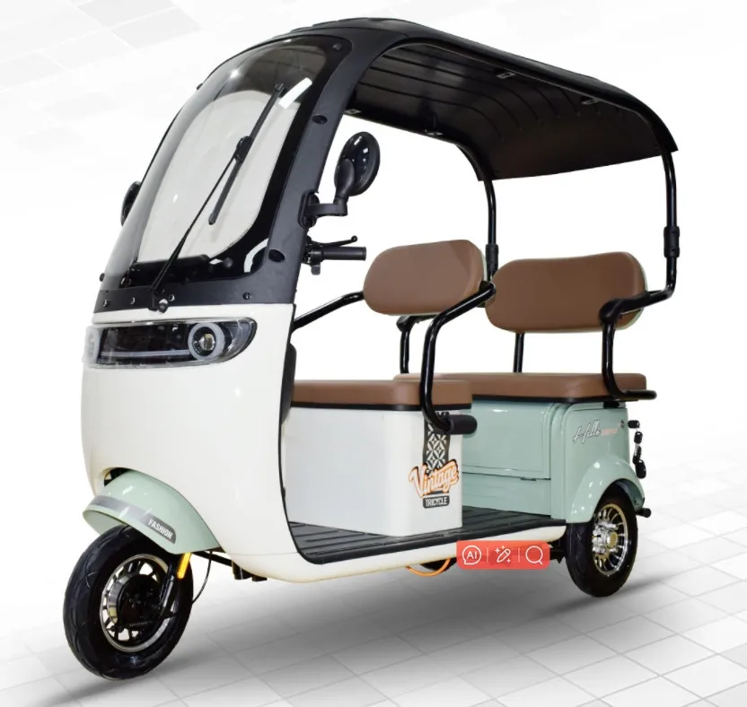 Factory Direct Price Leisure Electric Tricycle Bike With Rain Cover