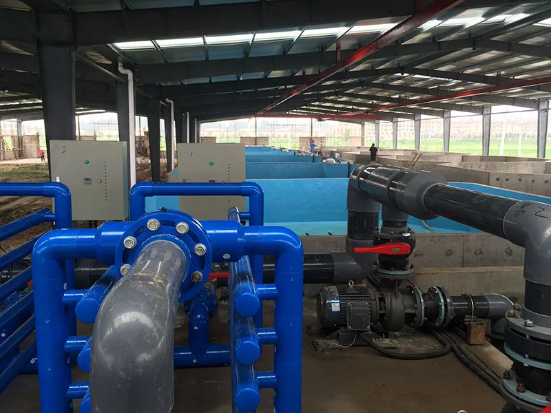 
grouper RAS fish farm aquaculture equipment for fish hatchery 