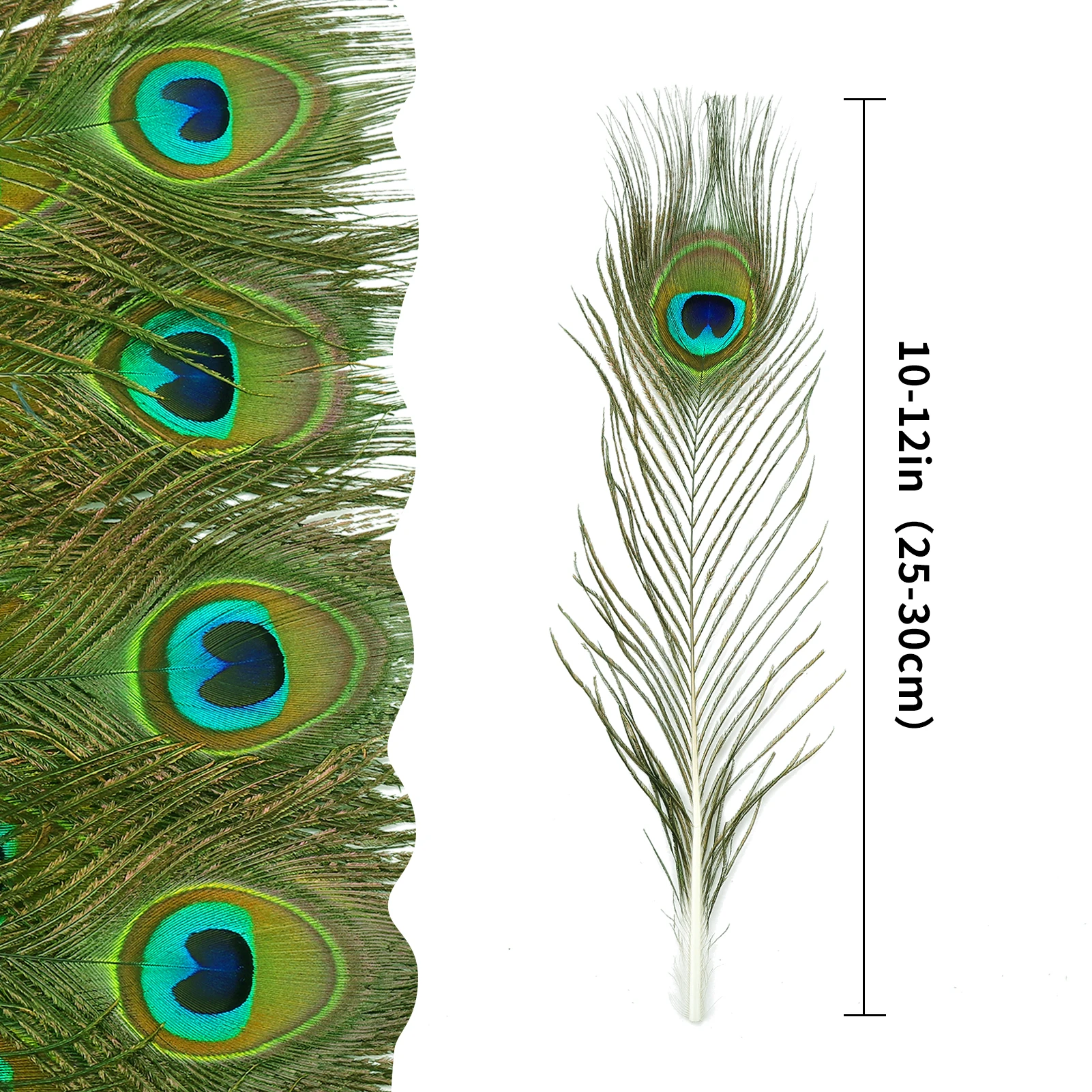 RTS In Stock Peacock Feather Items Christmas Party  Home Decor Large Natural Peacock Tail