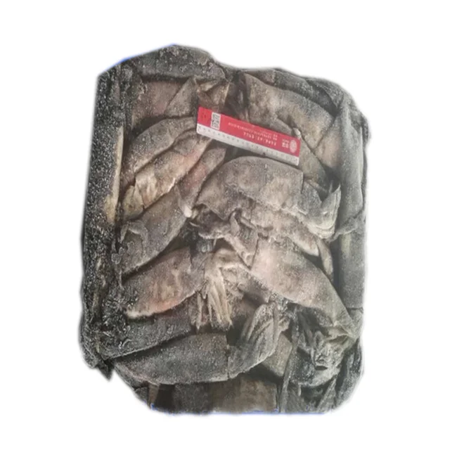 Squid Whole Round Ommastrephes Bartrami Squid 300-500g Frozen Squid