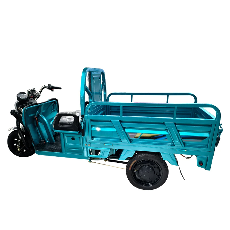 2024 New hot selling EEC electric open tricycle electric scooter electric tricycle cargo truck