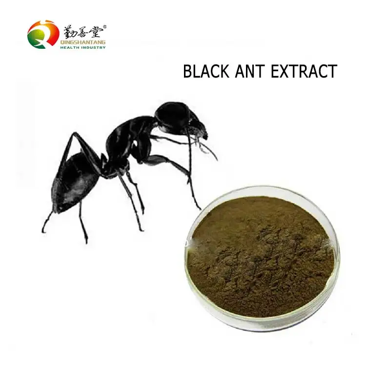 
High Quality 100% Pure and Natural OEM ODM black ant extract 30:1 powder 