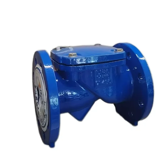Customizable OEM Electric Check Valve Ductile Iron Swing Check Valve Butterfly Valve