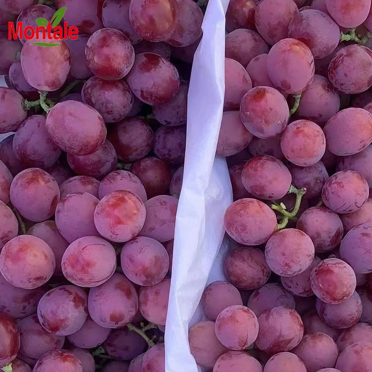 Chinese fresh red purple global grapes from Xinjiang