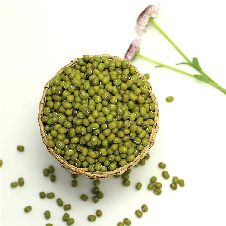 
green mung beans bright green 3.6mm size bean for food 
