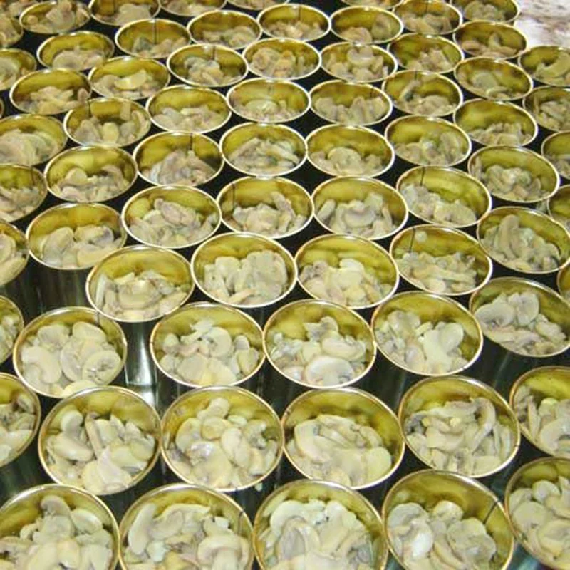 Low Price Mushroom in Can