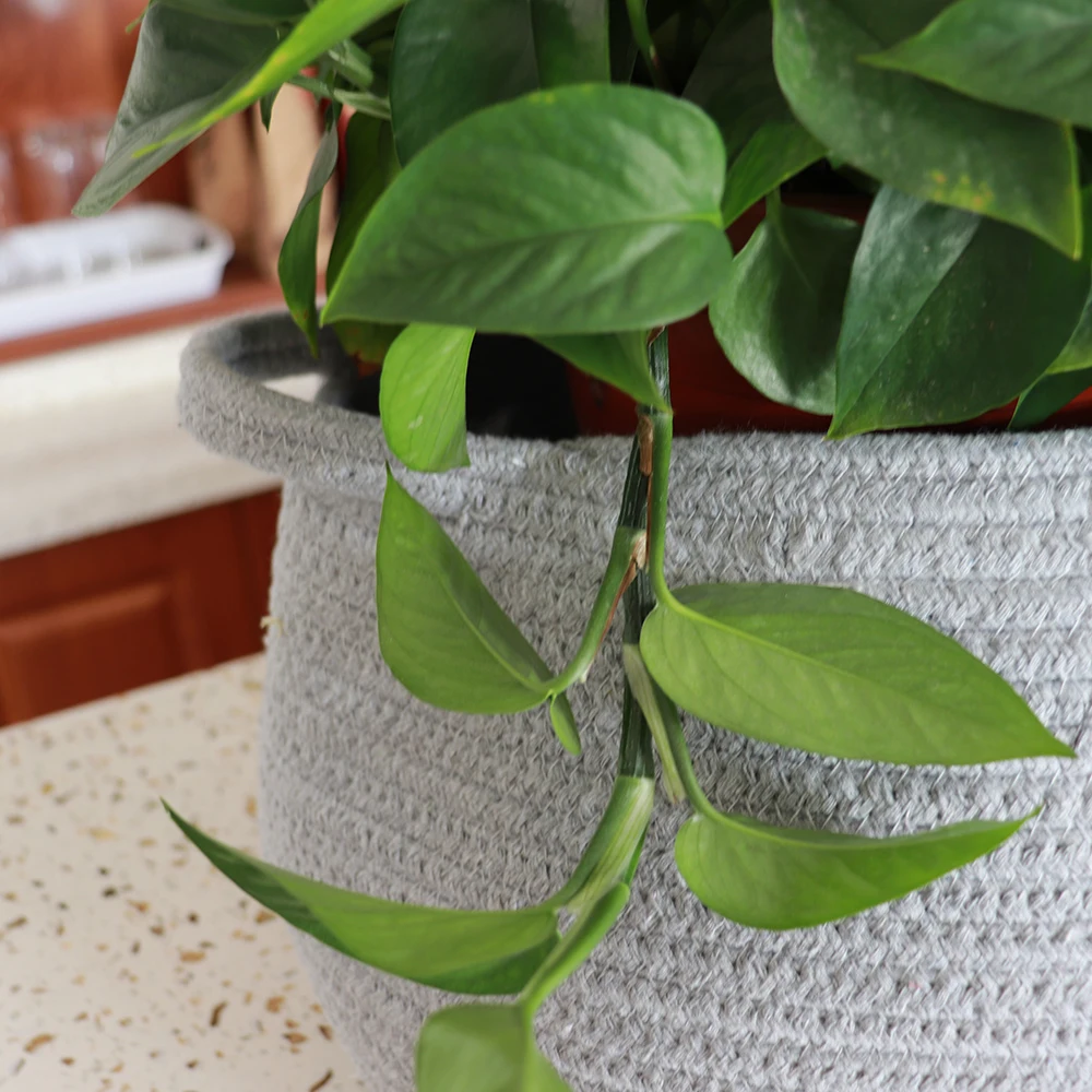 Free Shipping Home Decor Modern Indoor Planter Pot Woven Storage Organizer Cotton Rope Plant Basket