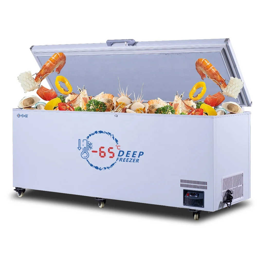 1000L Chest Refrigerator -65 Degree Stainless Steel Kitchen Freezer