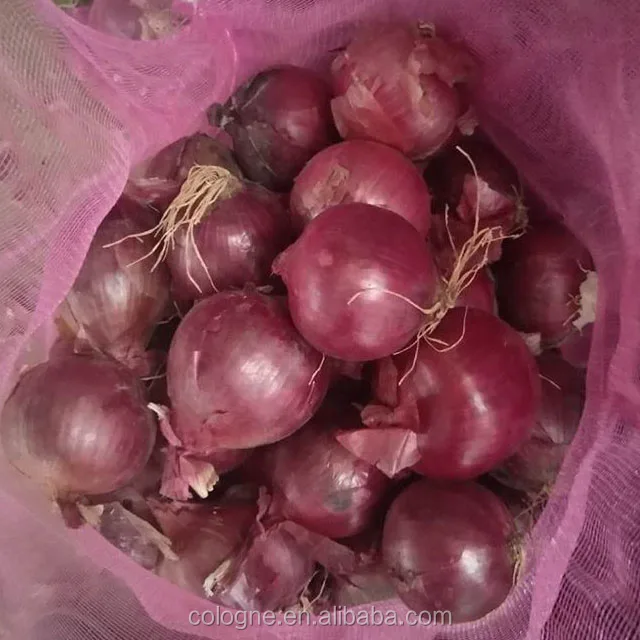 Top quality Natural Reliable Price Red Onion For Sale