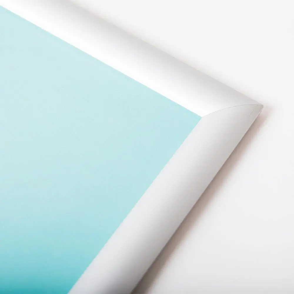 Free sample aluminum alloy poster frame 25mm advertising snap frame