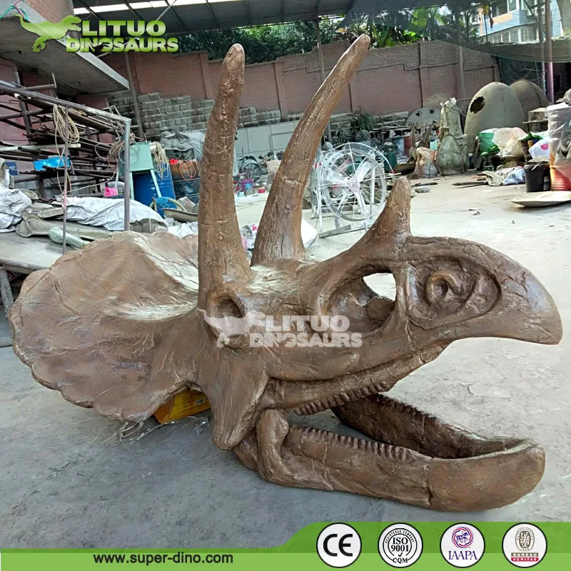  Тематический парк популярный череп динозавра T Rex