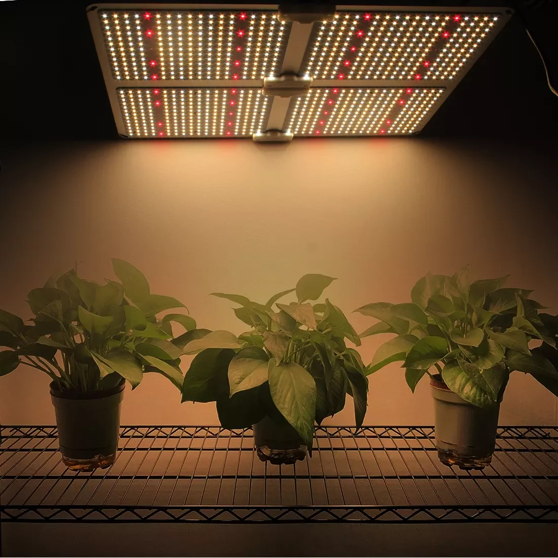 2021 New LED Grow Light 1000W Horticulture Led Grow Lights 20w Sunlike Led Grow Light Panel Luminous Red warm Body Lamp
