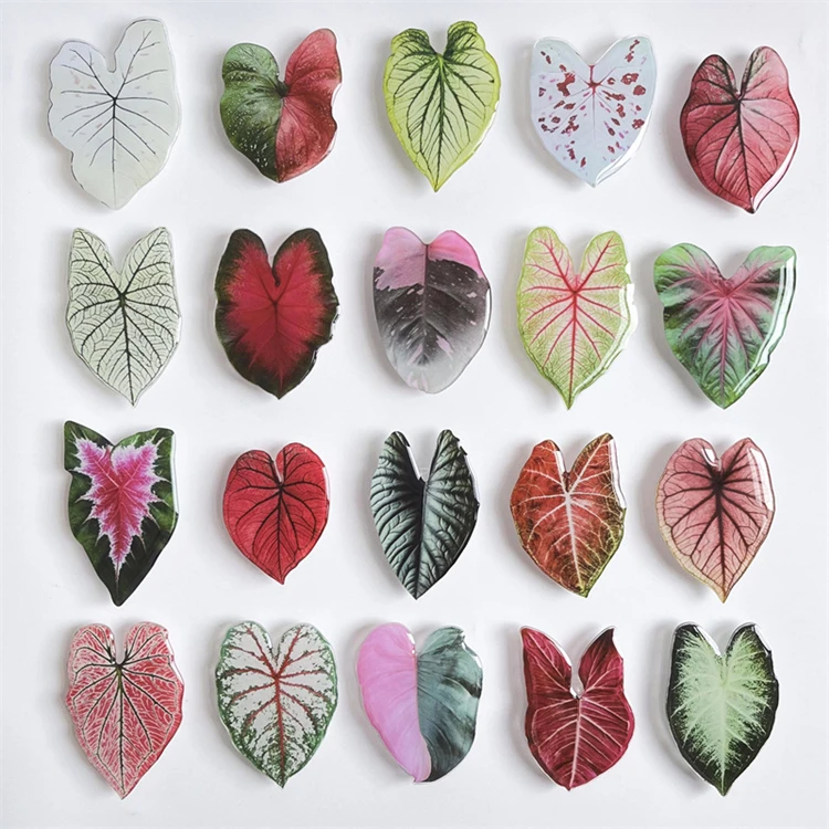 Plant Grip Tok Socket Folding Pretty Leaf Acrylic Phone Grip Holder For iPhone Universal Smartphone Griptok Bracket Finger Stand