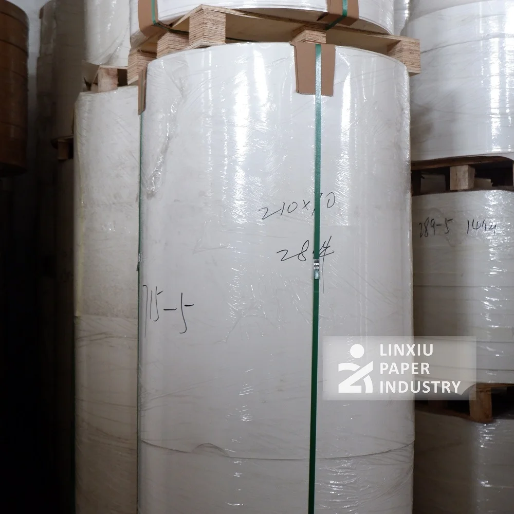 Cost-effective 190 gsm PE coated paper roll for paper cups and popcorn buckets, suitable for food packaging and printing
