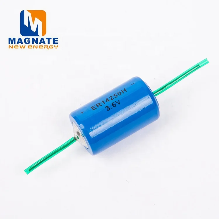 MAGNATE Battery Cell LS14250  ER14250 Battery with PT2 pins 1200mah for smart devices