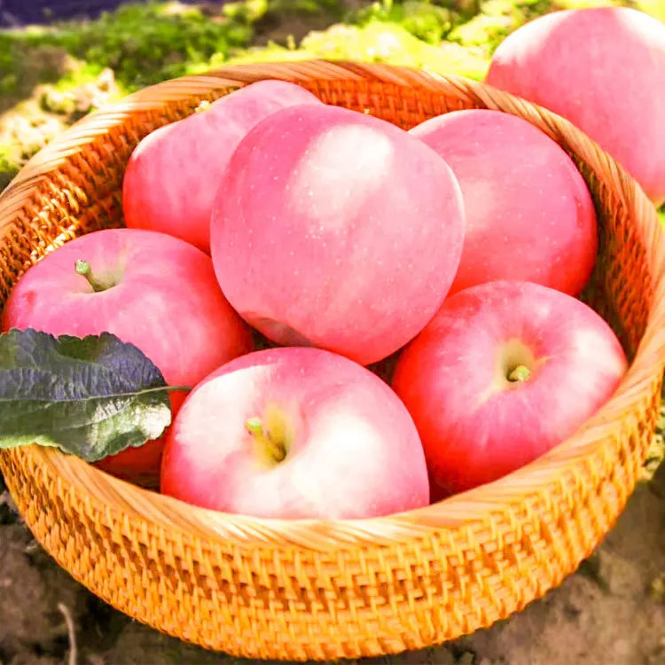 
2019 Year Fresh organic fruits red Fuji Apples 