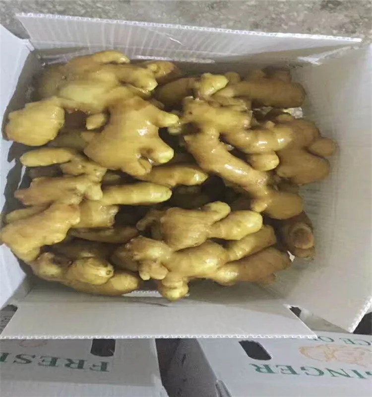 China  air dry  ginger 150g-300g