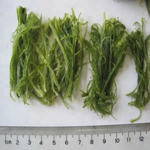 Discount Hot Sale Natural Seafood Foods Hiyashi Wakame Frozen Seaweed Salad  for Japanese Sushi Food