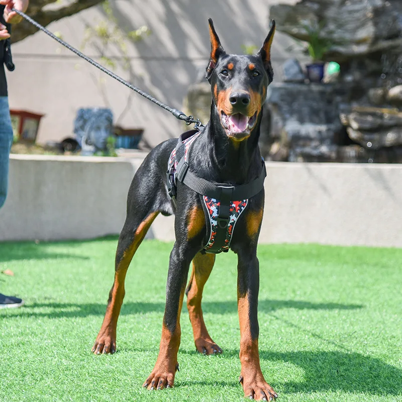 durable air layer custom dog harness dog k9 reflective adjustable leather dog harness