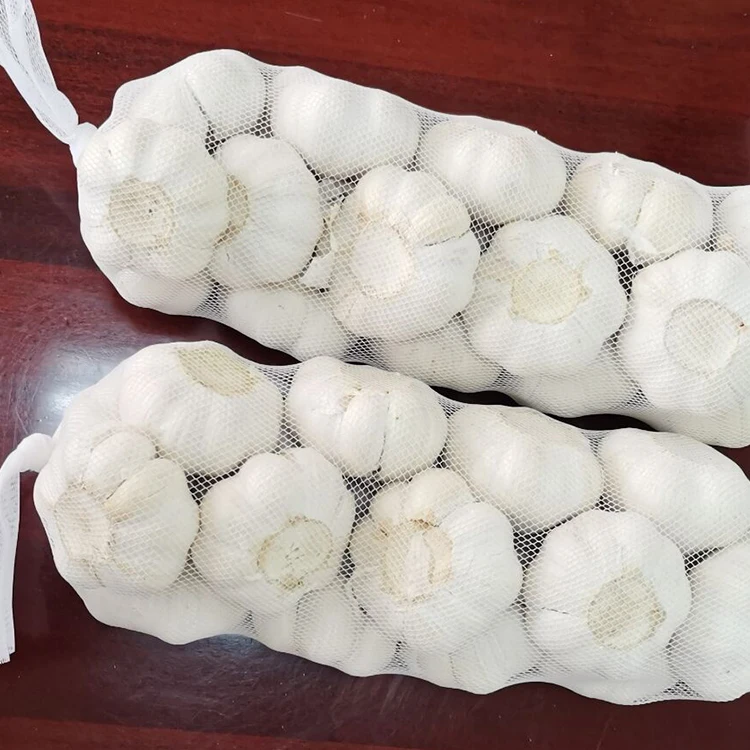 
supplying the garlic from china 