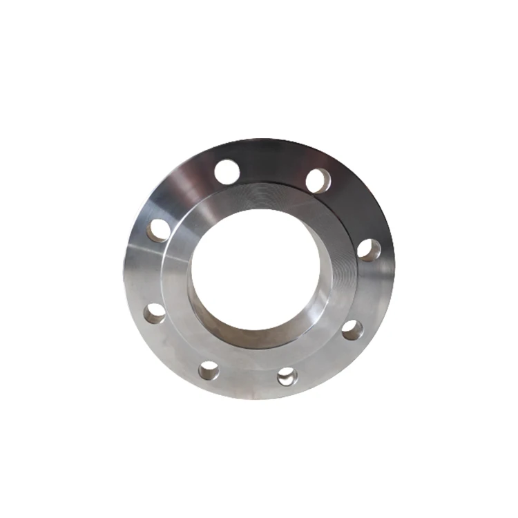 WP316L / 304L WN BL SO LJ SF Stainless Steel Flange FF RF MF FMF Forged Flange