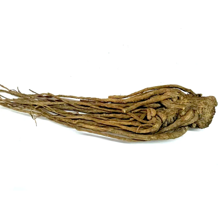
Chinese Herbs Medicine Radix Angelica 