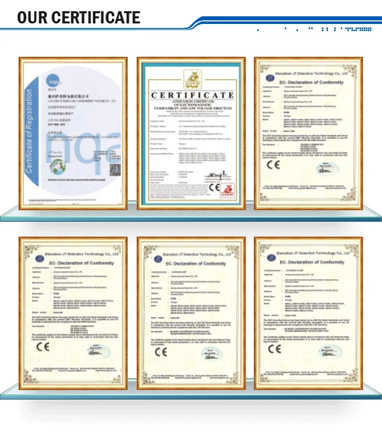 Electric Scooter Motorcycle Wheelchair E Rickshaw Tricycle Bicycle Ebike Boat Marine Smart Battery Charger with CAN BUS