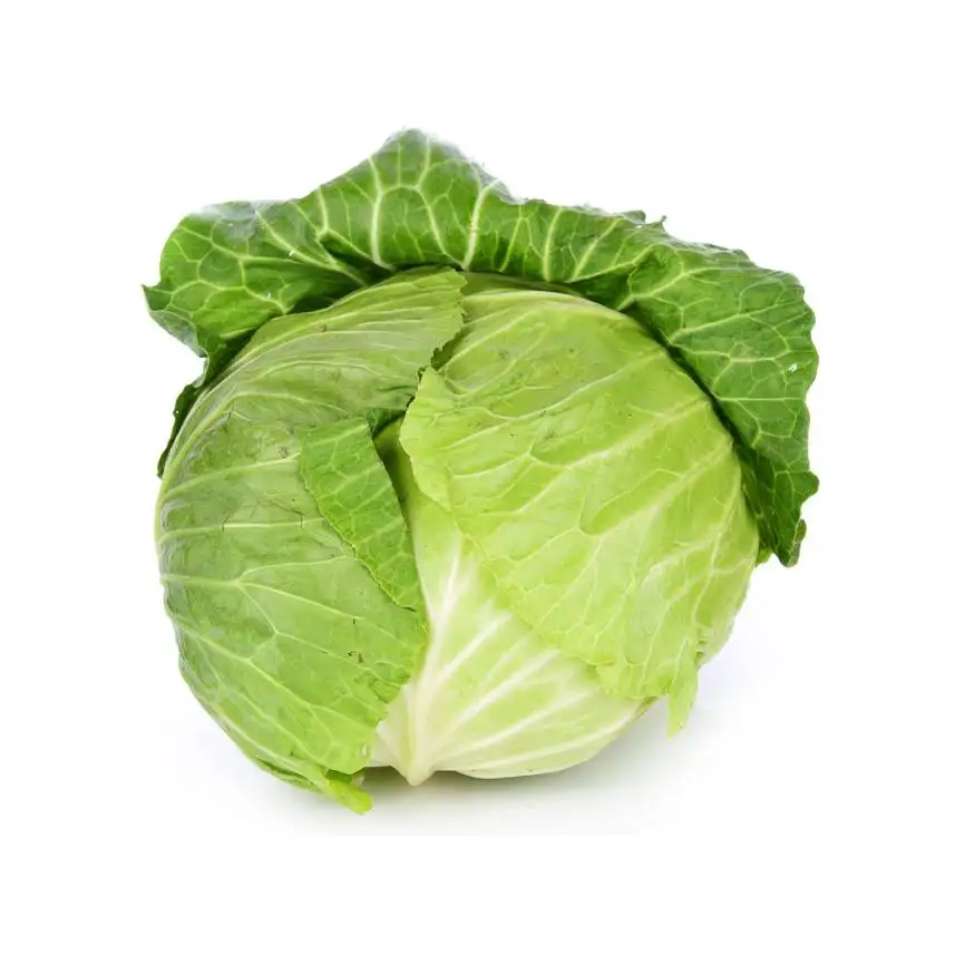 Здоровая натуральная Органическая капуста из Узбекистана без добавок по конкурентоспособной цене на экспорт
