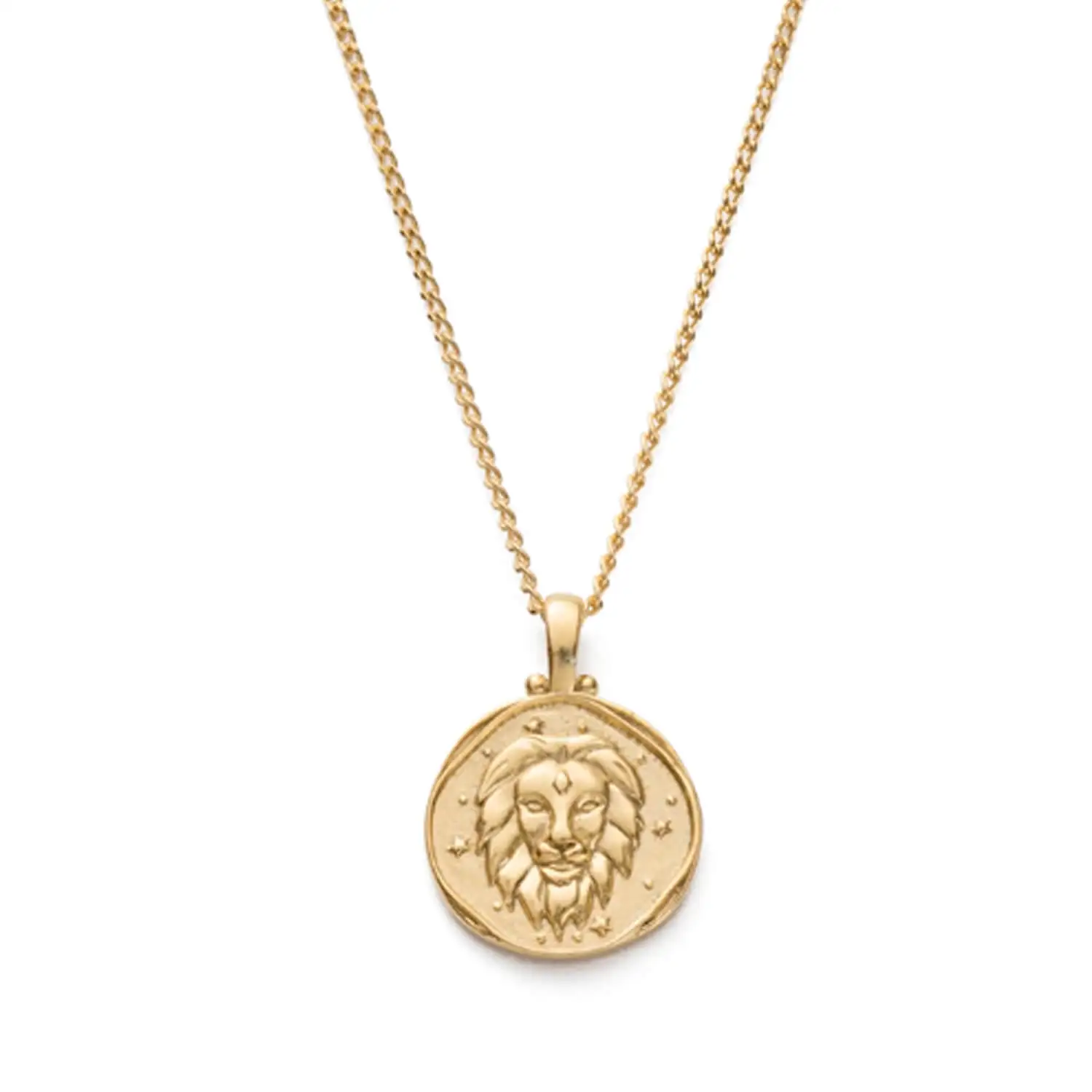 18k gold plated zodiac necklace custom constellation lion coin necklace 925 sterling silver jewellery